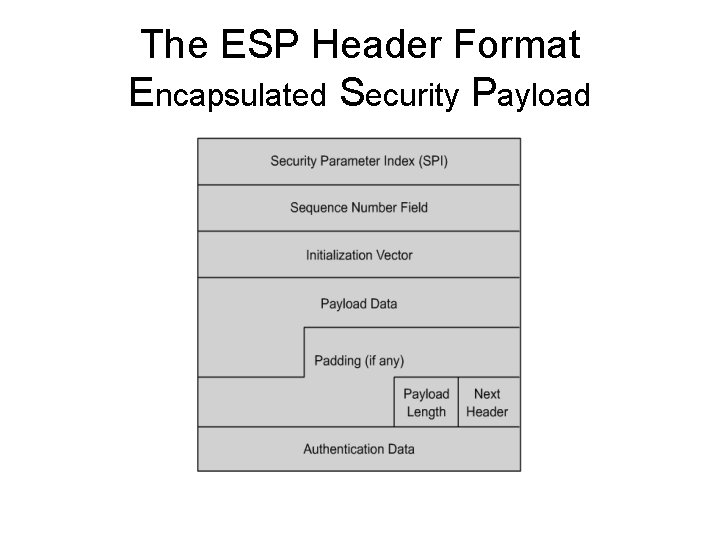 The ESP Header Format Encapsulated Security Payload 