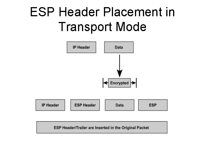 ESP Header Placement in Transport Mode 