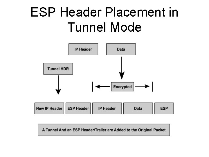 ESP Header Placement in Tunnel Mode 