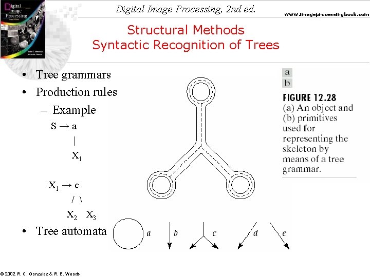 Digital Image Processing, 2 nd ed. Structural Methods Syntactic Recognition of Trees • Tree