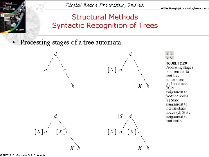 Digital Image Processing, 2 nd ed. Structural Methods Syntactic Recognition of Trees • Processing