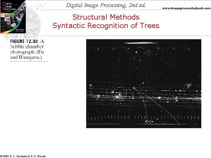 Digital Image Processing, 2 nd ed. Structural Methods Syntactic Recognition of Trees © 2002