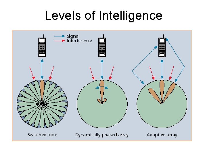 Levels of Intelligence 