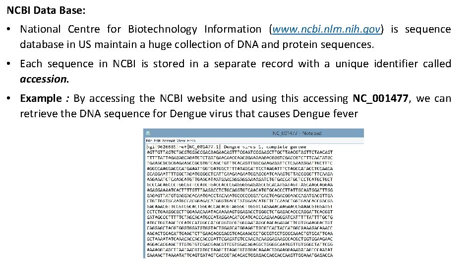 NCBI Data Base: • National Centre for Biotechnology Information (www. ncbi. nlm. nih. gov)