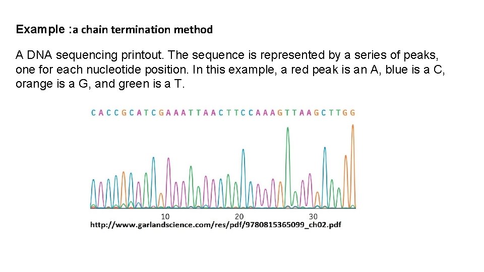 Example : a chain termination method A DNA sequencing printout. The sequence is represented