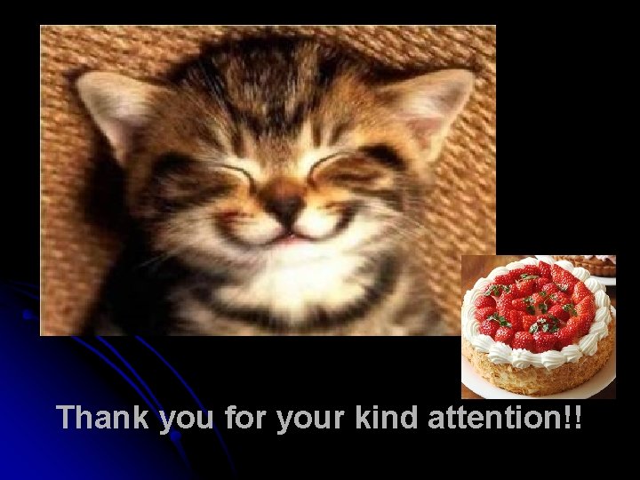 Thank you for your kind attention!! Thank you for your kind attention!!