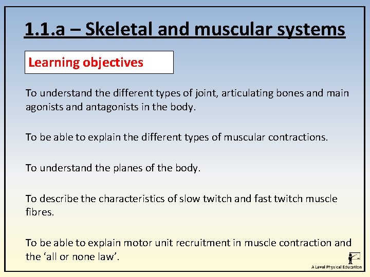 1. 1. a – Skeletal and muscular systems Learning objectives To understand the different 1. 1. a – Skeletal and muscular systems Learning objectives To understand the different