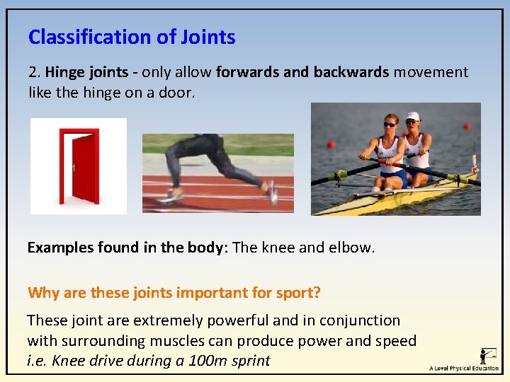 Classification of Joints 2. Hinge joints - only allow forwards and backwards movement like Classification of Joints 2. Hinge joints - only allow forwards and backwards movement like