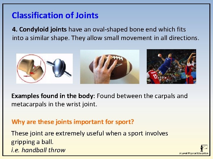 Classification of Joints 4. Condyloid joints have an oval-shaped bone end which fits into Classification of Joints 4. Condyloid joints have an oval-shaped bone end which fits into