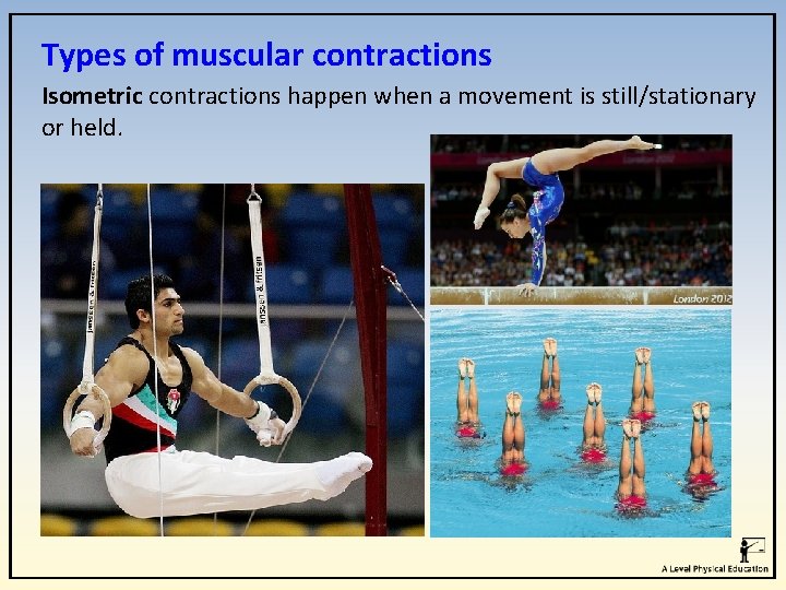 Types of muscular contractions Isometric contractions happen when a movement is still/stationary or held. Types of muscular contractions Isometric contractions happen when a movement is still/stationary or held.