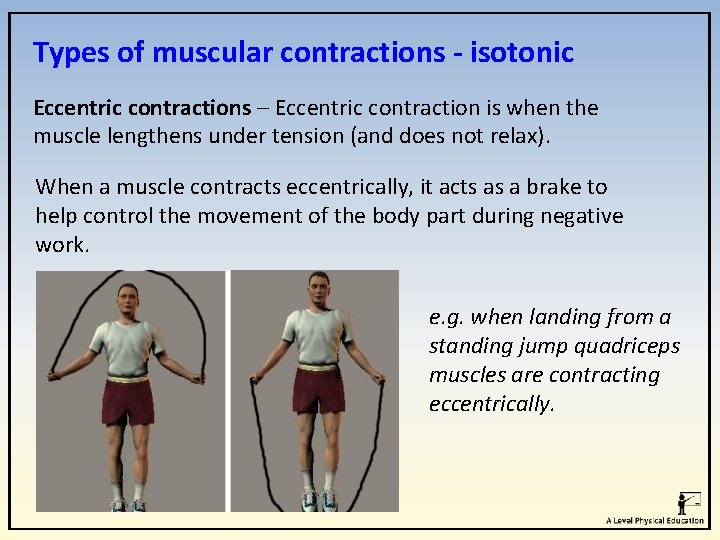 Types of muscular contractions - isotonic Eccentric contractions – Eccentric contraction is when the Types of muscular contractions - isotonic Eccentric contractions – Eccentric contraction is when the