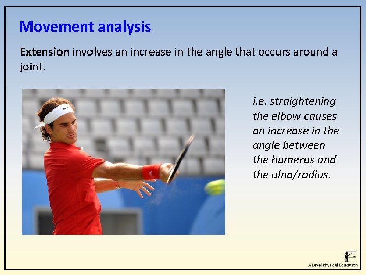 Movement analysis Extension involves an increase in the angle that occurs around a joint. Movement analysis Extension involves an increase in the angle that occurs around a joint.