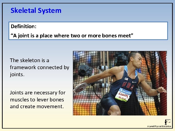 Skeletal System Definition: “A joint is a place where two or more bones meet” Skeletal System Definition: “A joint is a place where two or more bones meet”