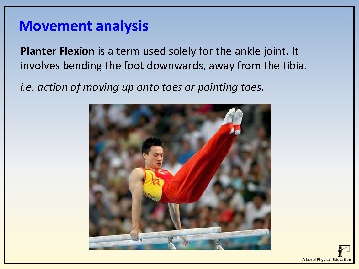Movement analysis Planter Flexion is a term used solely for the ankle joint. It Movement analysis Planter Flexion is a term used solely for the ankle joint. It