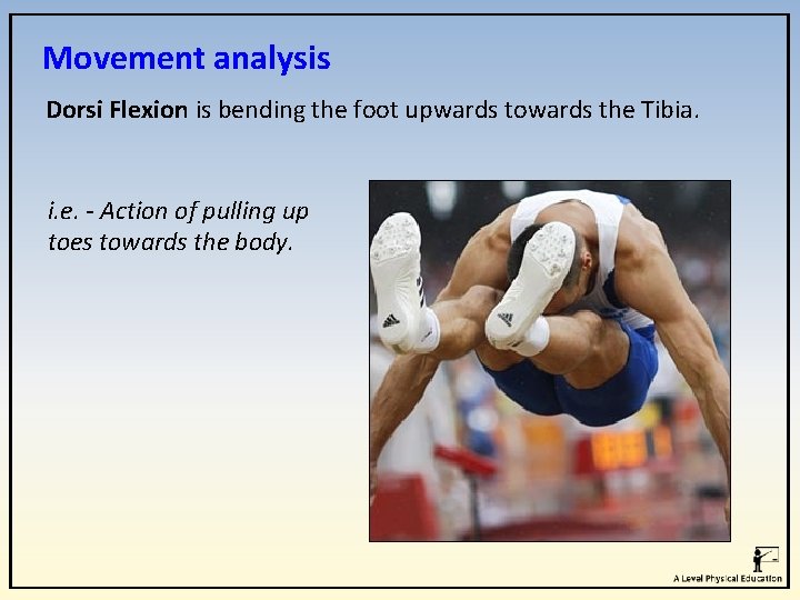Movement analysis Dorsi Flexion is bending the foot upwards towards the Tibia. i. e. Movement analysis Dorsi Flexion is bending the foot upwards towards the Tibia. i. e.