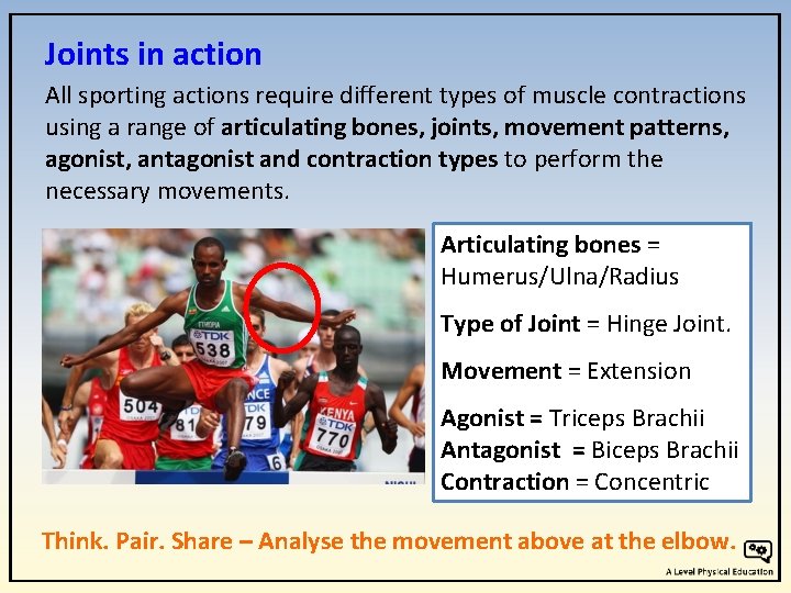 Joints in action All sporting actions require different types of muscle contractions using a Joints in action All sporting actions require different types of muscle contractions using a