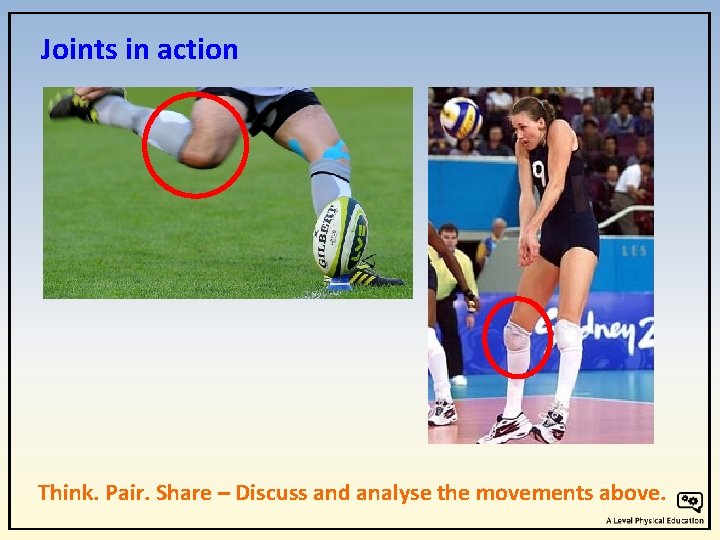 Joints in action Think. Pair. Share – Discuss and analyse the movements above. Joints in action Think. Pair. Share – Discuss and analyse the movements above.