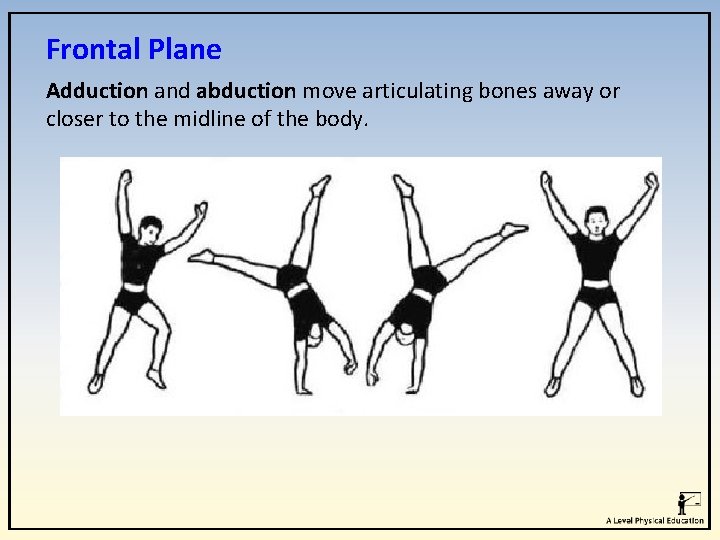 Frontal Plane Adduction and abduction move articulating bones away or closer to the midline Frontal Plane Adduction and abduction move articulating bones away or closer to the midline
