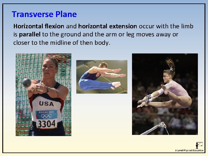 Transverse Plane Horizontal flexion and horizontal extension occur with the limb is parallel to Transverse Plane Horizontal flexion and horizontal extension occur with the limb is parallel to