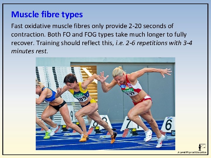 Muscle fibre types Fast oxidative muscle fibres only provide 2 -20 seconds of contraction. Muscle fibre types Fast oxidative muscle fibres only provide 2 -20 seconds of contraction.
