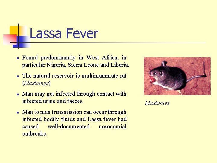Lassa Fever n n Found predominantly in West Africa, in particular Nigeria, Sierra Leone