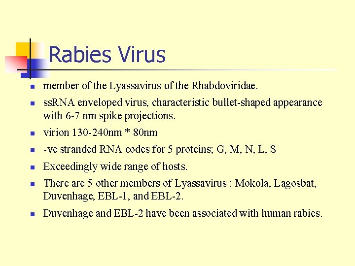 Rabies Virus n n member of the Lyassavirus of the Rhabdoviridae. ss. RNA enveloped