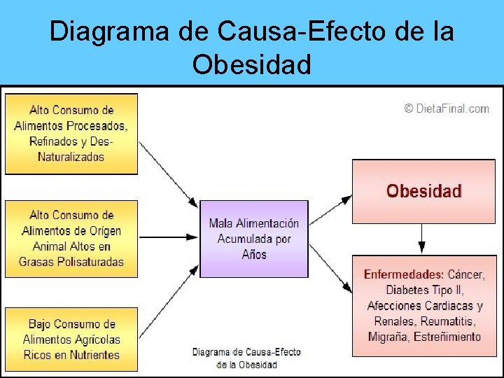 Diagrama de Causa-Efecto de la Obesidad 