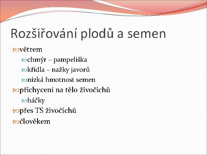 Rozšiřování plodů a semen větrem chmýr – pampeliška křídla – nažky javorů nízká hmotnost Rozšiřování plodů a semen větrem chmýr – pampeliška křídla – nažky javorů nízká hmotnost