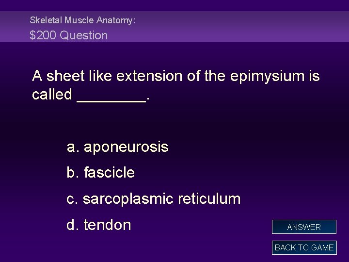 Skeletal Muscle Anatomy: $200 Question A sheet like extension of the epimysium is called