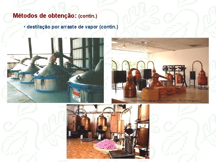 Métodos de obtenção: obtenção (contin. ) • destilação por arraste de vapor (contin. )