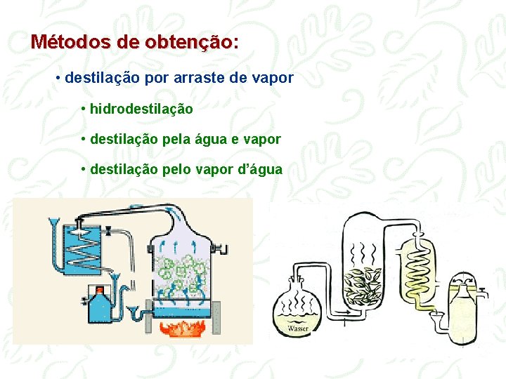 Métodos de obtenção: obtenção • destilação por arraste de vapor • hidrodestilação • destilação