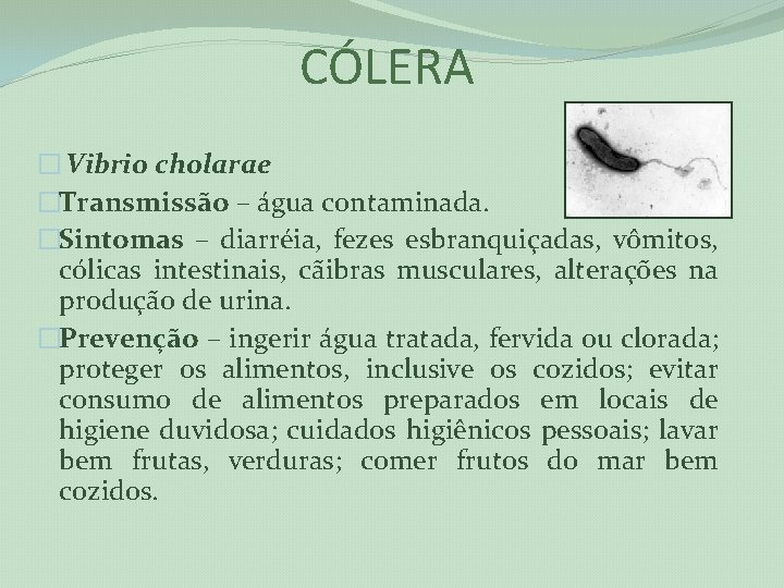 CÓLERA � Vibrio cholarae �Transmissão – água contaminada. �Sintomas – diarréia, fezes esbranquiçadas, vômitos,