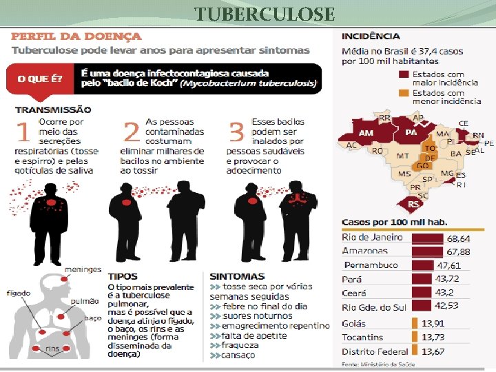 TUBERCULOSE Bacilo de Kock 