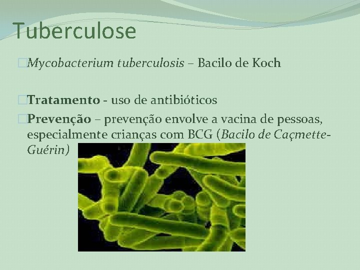Tuberculose �Mycobacterium tuberculosis – Bacilo de Koch �Tratamento - uso de antibióticos �Prevenção –
