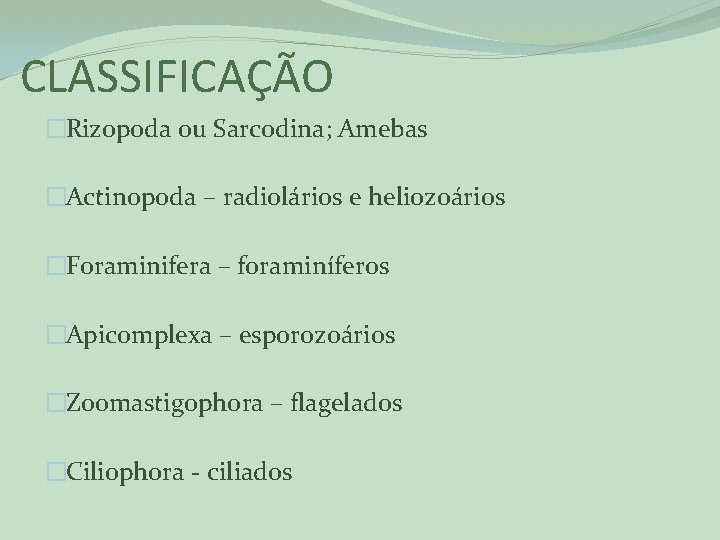 CLASSIFICAÇÃO �Rizopoda ou Sarcodina; Amebas �Actinopoda – radiolários e heliozoários �Foraminifera – foraminíferos �Apicomplexa