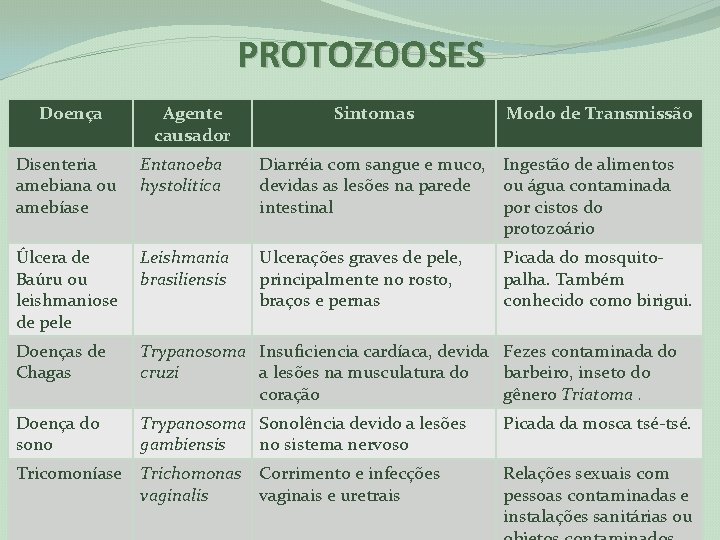 PROTOZOOSES Doença Agente causador Sintomas Modo de Transmissão Disenteria amebiana ou amebíase Entanoeba hystolitica