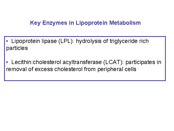 Key Enzymes in Lipoprotein Metabolism • Lipoprotein lipase (LPL): hydrolysis of triglyceride rich particles