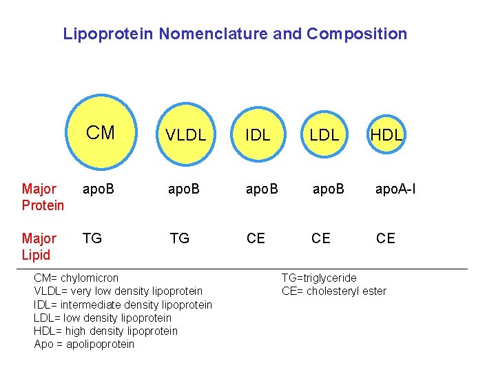 Lipoprotein Nomenclature and Composition CM VLDL IDL LDL Major Protein apo. B apo. A-I