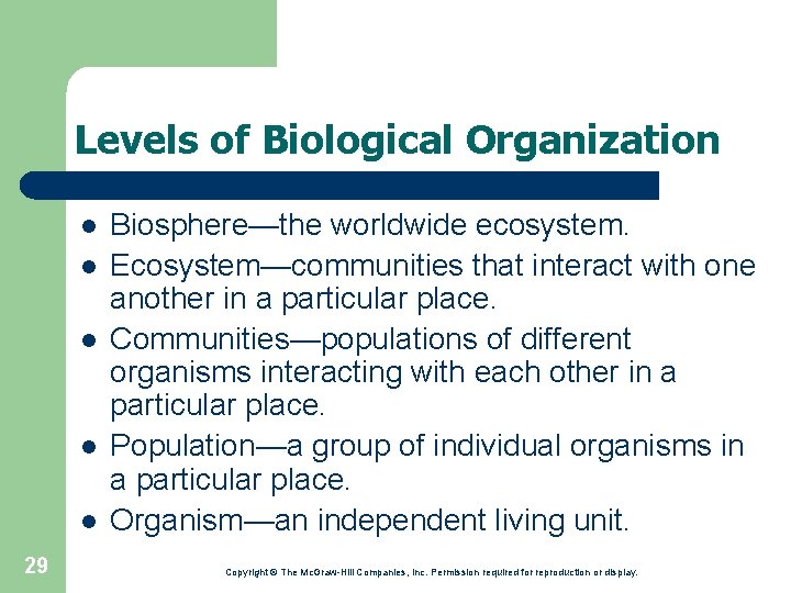 Levels of Biological Organization l l l 29 Biosphere—the worldwide ecosystem. Ecosystem—communities that interact