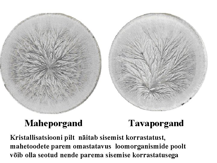 Maheporgand Tavaporgand Kristallisatsiooni pilt näitab sisemist korrastatust, mahetoodete parem omastatavus loomorganismide poolt võib olla