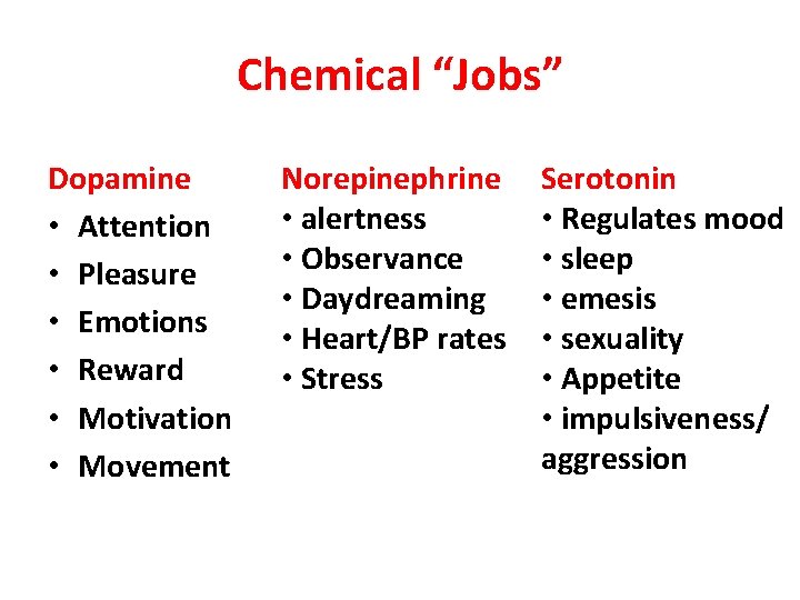 Chemical “Jobs” Dopamine • Attention • Pleasure • Emotions • Reward • Motivation •