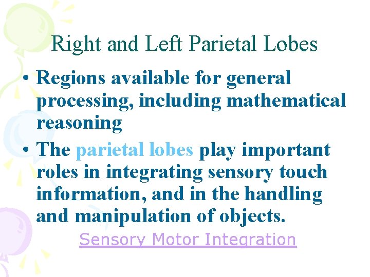 Right and Left Parietal Lobes • Regions available for general processing, including mathematical reasoning