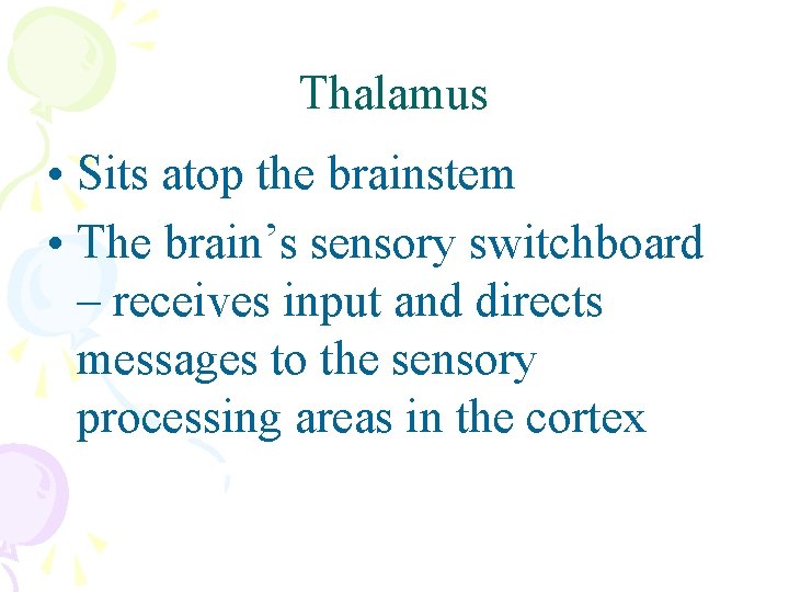Thalamus • Sits atop the brainstem • The brain’s sensory switchboard – receives input