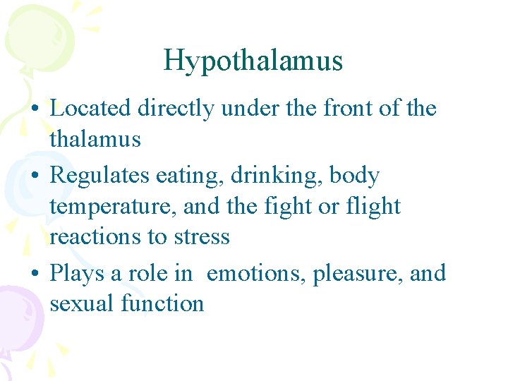 Hypothalamus • Located directly under the front of the thalamus • Regulates eating, drinking,