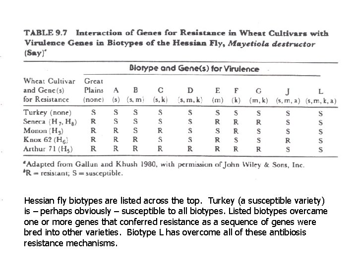 Hessian fly biotypes are listed across the top. Turkey (a susceptible variety) is –