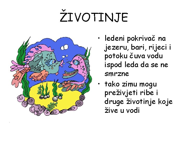 ŽIVOTINJE • ledeni pokrivač na jezeru, bari, rijeci i potoku čuva vodu ispod leda