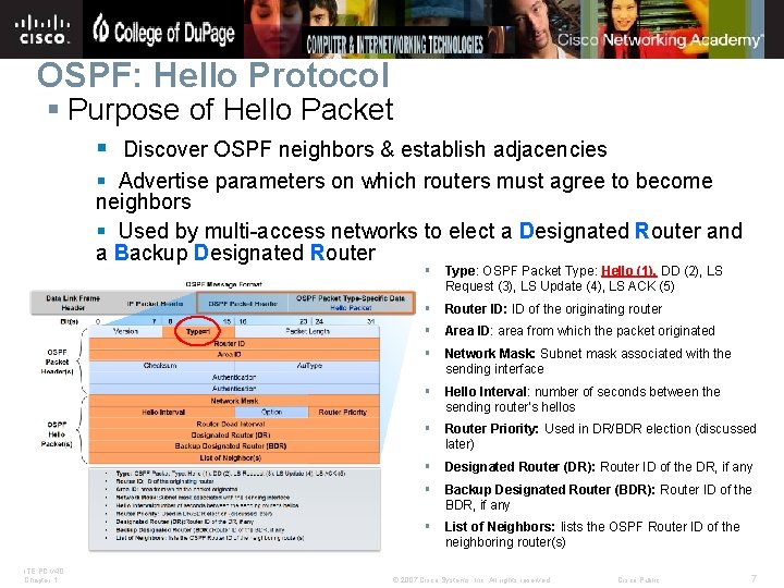 OSPF: Hello Protocol § Purpose of Hello Packet § Discover OSPF neighbors & establish