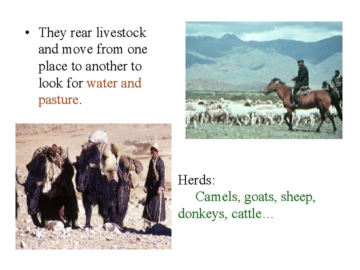  • They rear livestock and move from one place to another to look