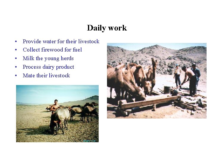 Daily work • • • Provide water for their livestock Collect firewood for fuel