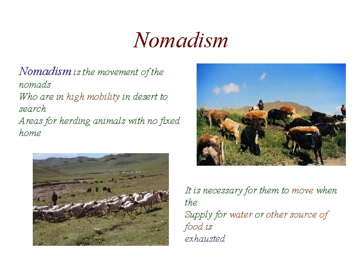 Nomadism is the movement of the nomads Who are in high mobility in desert